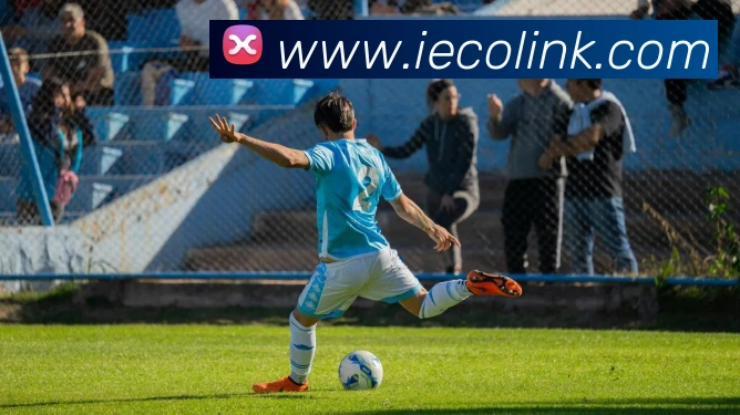 星空网官网登录入口手机版发展历程